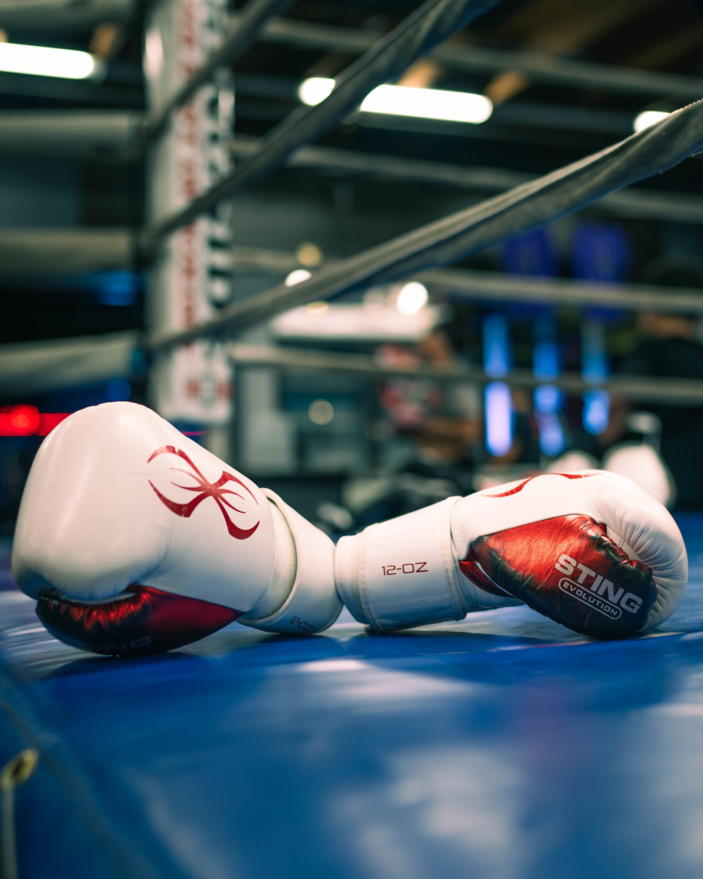 Boxing gloves on the ring at BFU